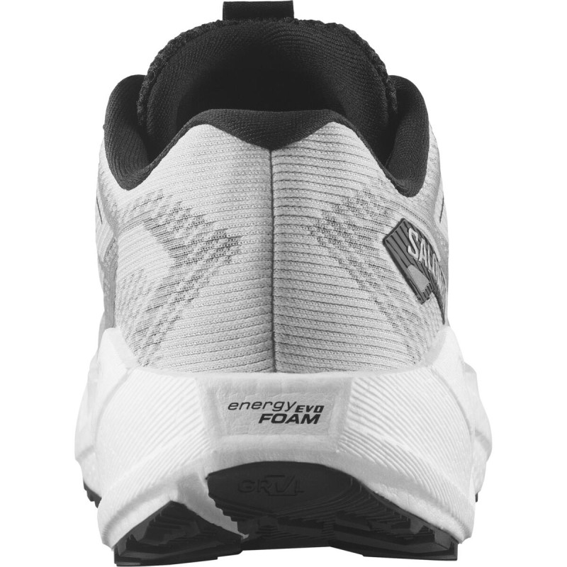 Dámska cestná bežecká obuv Salomon AERO BLAZE 3 GRVL W LunRoc/Wht/Blac 2