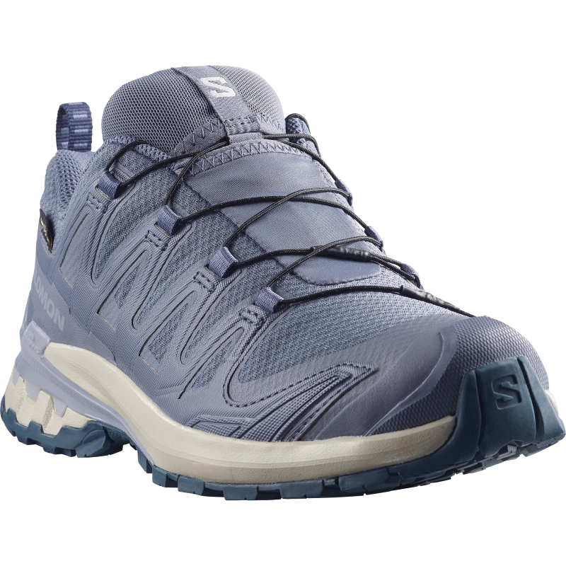 Dámska trailová obuv Salomon XA PRO 3D V9 GTX W Grisaille/Tradewinds 1