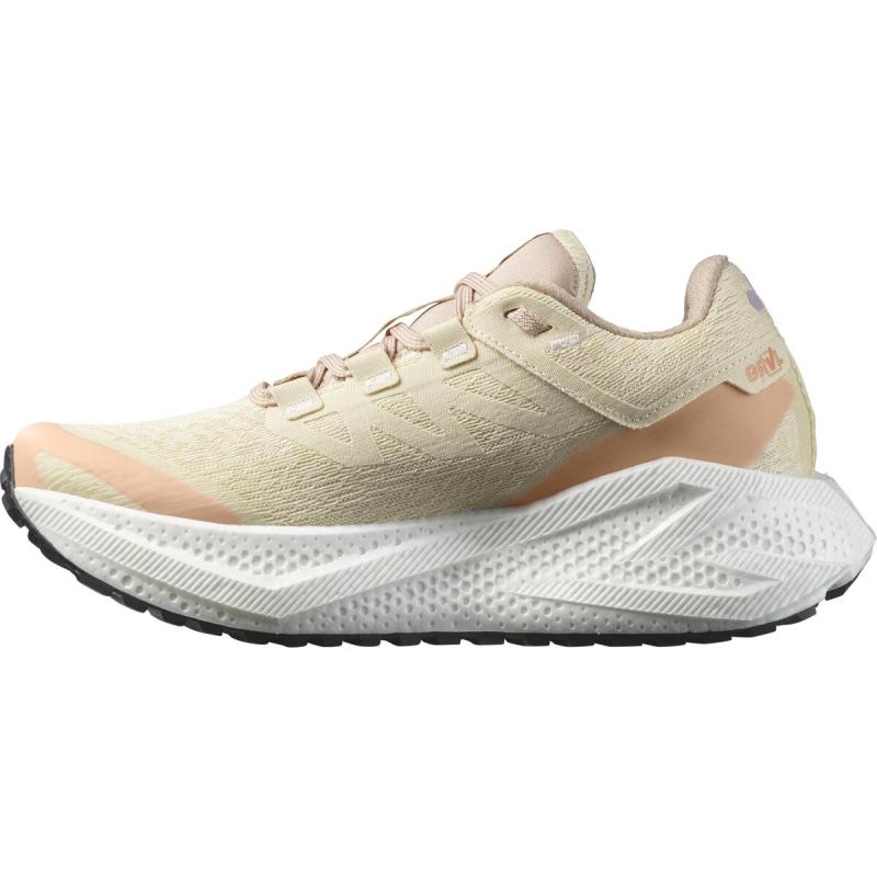 Dámska univerzálna bežecká obuv Salomon AERO GLIDE 3 GRVL W Shobre / White / Fuco 2