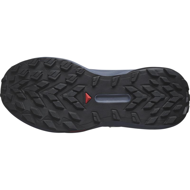 Dámska bežecká obuv Salomon GENESIS W Carbon / Grisaille / Aloe Wash 5