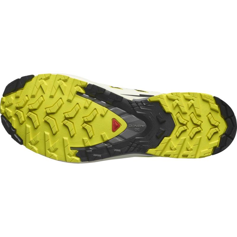Pánska trailová obuv Salomon XA PRO 3D V9 GTX Black / Buttercup / Lapis Blue
