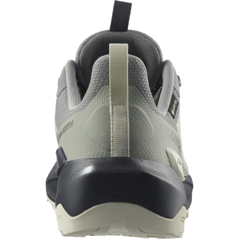 Pánska treková obuv SALOMON ELIXIR ACTIV GTX Sedsa/Wrought Iron 3