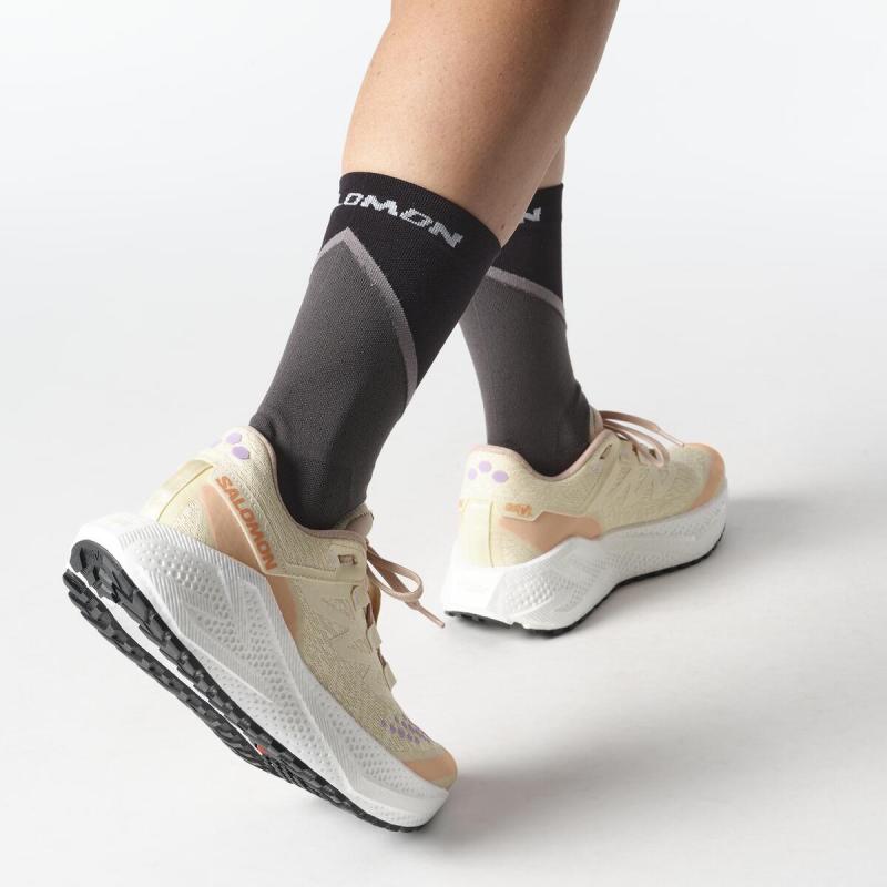 Dámska univerzálna bežecká obuv Salomon AERO GLIDE 3 GRVL W Shobre / White / Fuco 3