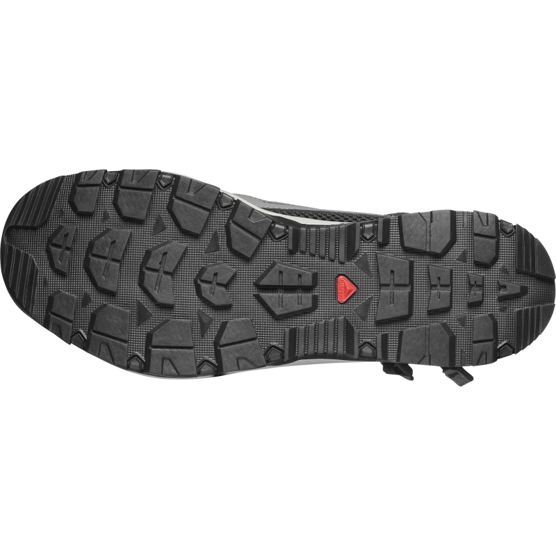 Pánska outdoorová obuv Salomon TECHAMPHIBIAN 5 Castlerock / Willow 3