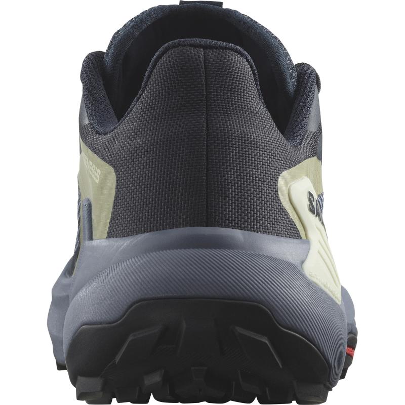 Dámska bežecká obuv Salomon GENESIS W Carbon / Grisaille / Aloe Wash 4