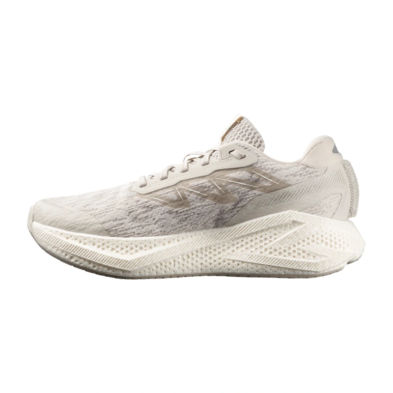 Pánska cestná bežecká obuv Salomon AERO GLIDE 4 Silver Cloud / Silver Cloud 2