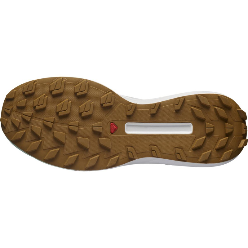 Bežecká obuv Salomon S/LAB GENESIS LTD COURTNEY V2 3