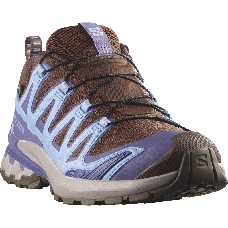 Dámska trailová obuv Salomon XA PRO 3D V9 STORM GTX W Dark Earth / Brunnera Blue 1