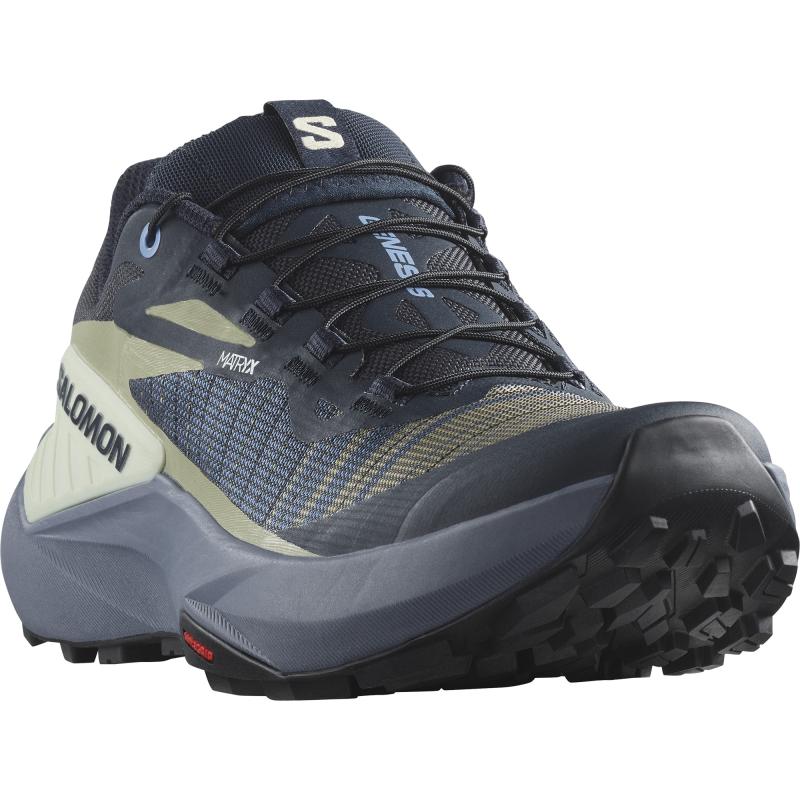 Dámska bežecká obuv Salomon GENESIS W Carbon / Grisaille / Aloe Wash 3