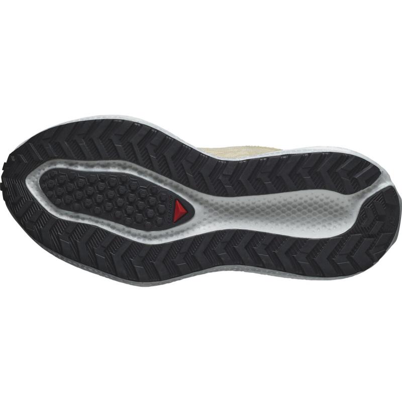 Dámska univerzálna bežecká obuv Salomon AERO GLIDE 3 GRVL W Shobre / White / Fuco 6