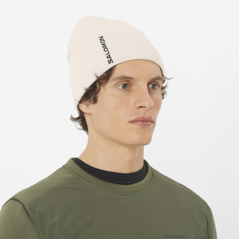 Zimná čiapka SALOMON GRAPHIC BEANIE WHISPER WHITE 1