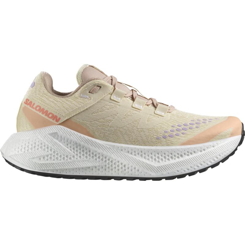 Dámska univerzálna bežecká obuv Salomon AERO GLIDE 3 GRVL W Shobre / White / Fuco