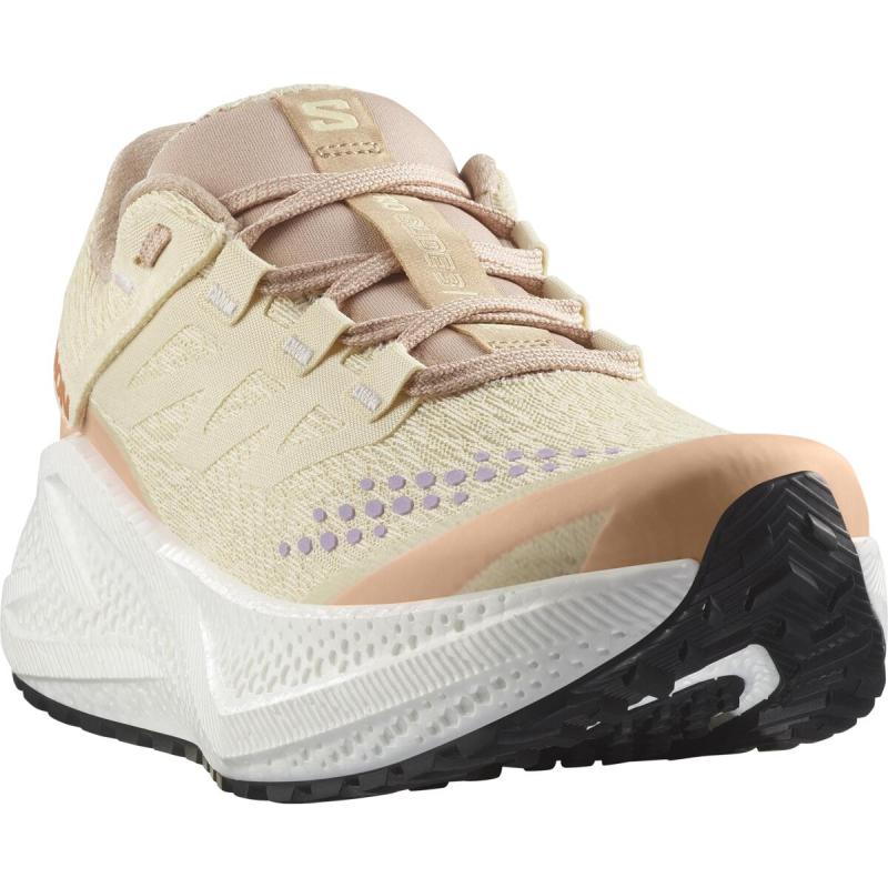 Dámska univerzálna bežecká obuv Salomon AERO GLIDE 3 GRVL W Shobre / White / Fuco 4