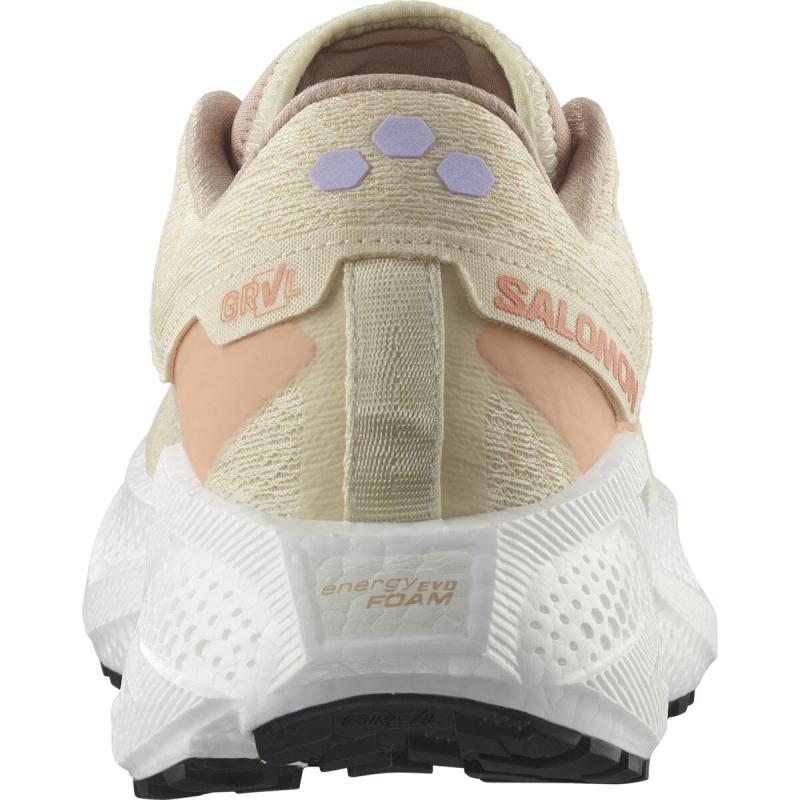 Dámska univerzálna bežecká obuv Salomon AERO GLIDE 3 GRVL W Shobre / White / Fuco 5