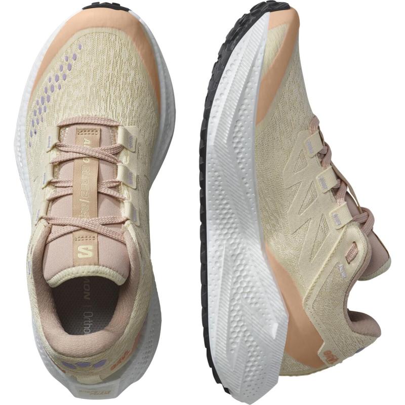 Dámska univerzálna bežecká obuv Salomon AERO GLIDE 3 GRVL W Shobre / White / Fuco 7