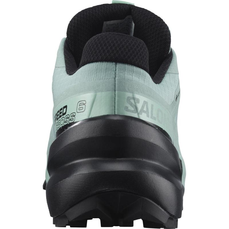 Dámska trailová obuv Salomon SPEEDCROSS 6 GTX W Aqua/Black/Yucc