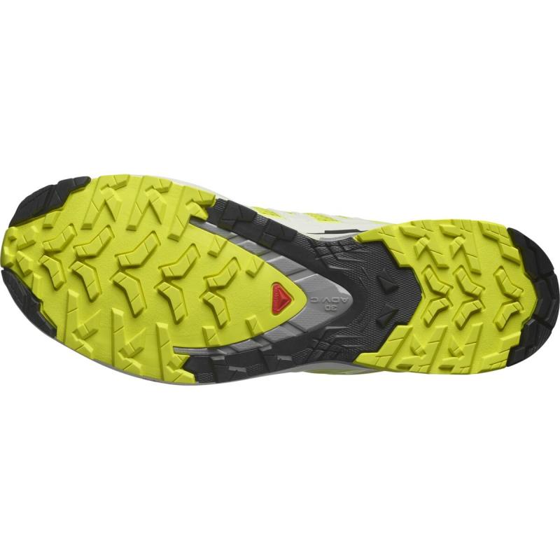 Pánska trailová obuv Salomon XA PRO 3D V9 Sulphr/Vanila/Shskin