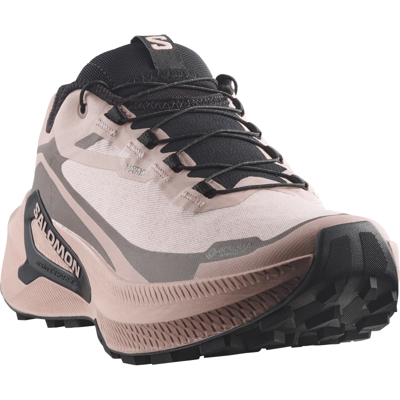 Nepremokavá dámska bežecká obuv Salomon GENESIS 2 GTX W Shadow Gray / Iron 1