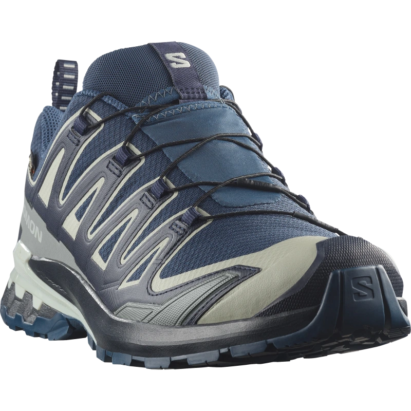 Pánska trailová obuv Salomon XA PRO 3D V9 GTX Spellbound / Maritime Blue 1