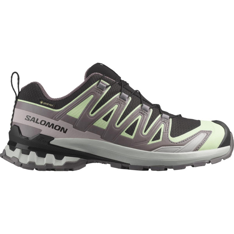 Dámska trailová obuv Salomon XA PRO 3D V9 GTX W Black/Pating/Gry