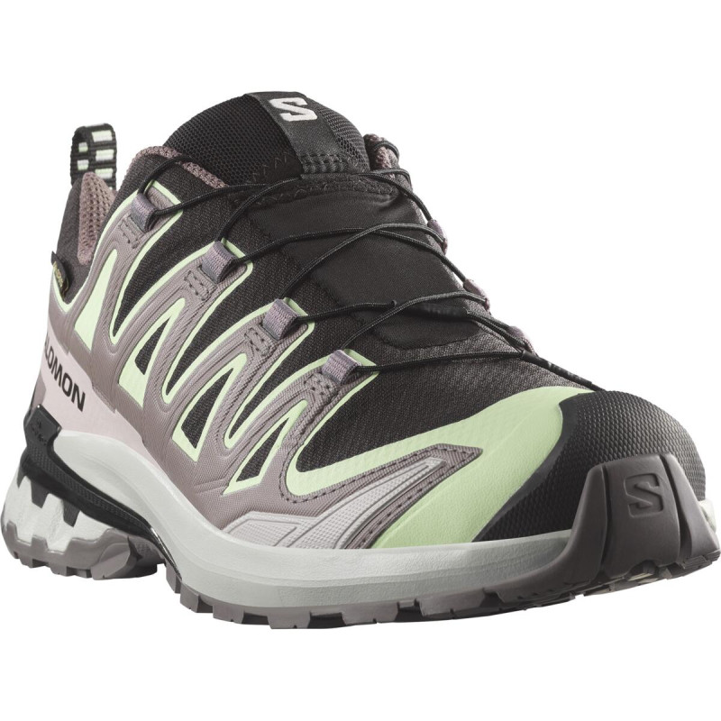 Dámska trailová obuv Salomon XA PRO 3D V9 GTX W Black/Pating/Gry 1