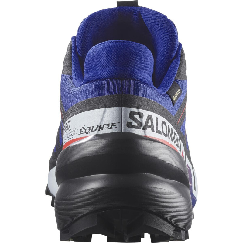Pánska trailová obuv Salomon SPEEDCROSS 6 GTX EQUIPE Surf W/Fird 2