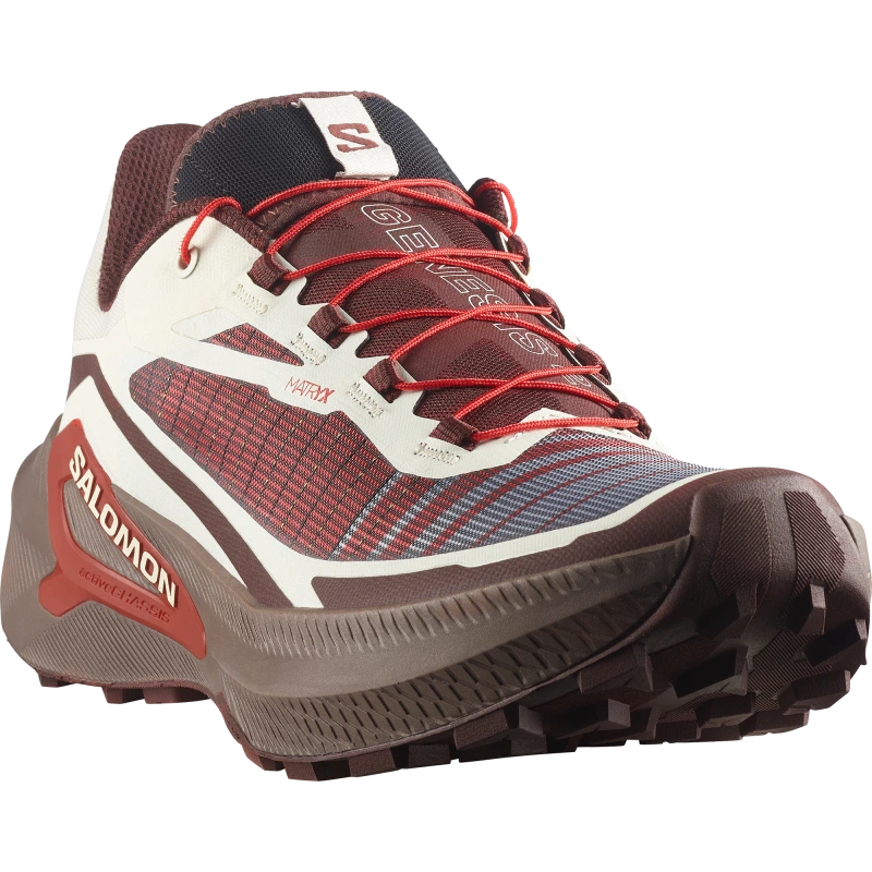 Bežecká obuv Salomon GENESIS 2 Vanilla Ice / Iron 1