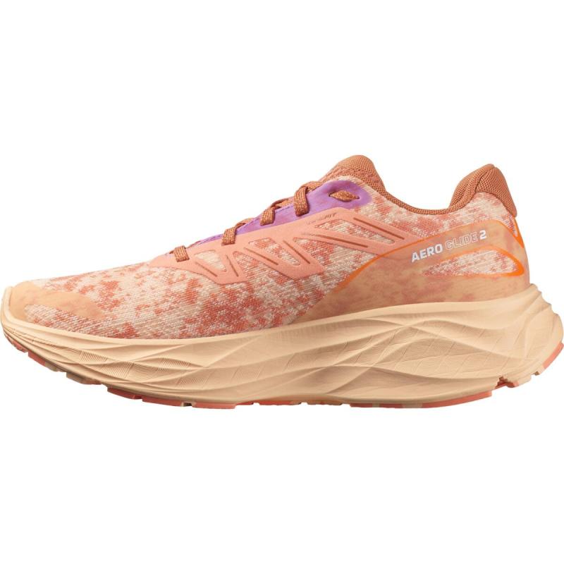 Dámska cestná bežecká obuv Salomon AERO GLIDE 2 W Spice Route / Peach Quartz / Fresh Salmo