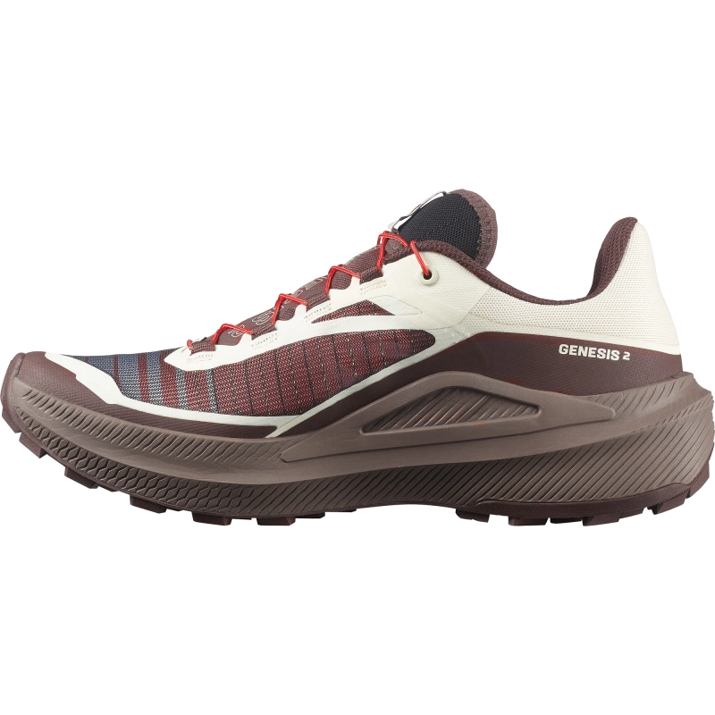 Bežecká obuv Salomon GENESIS 2 Vanilla Ice / Iron 4