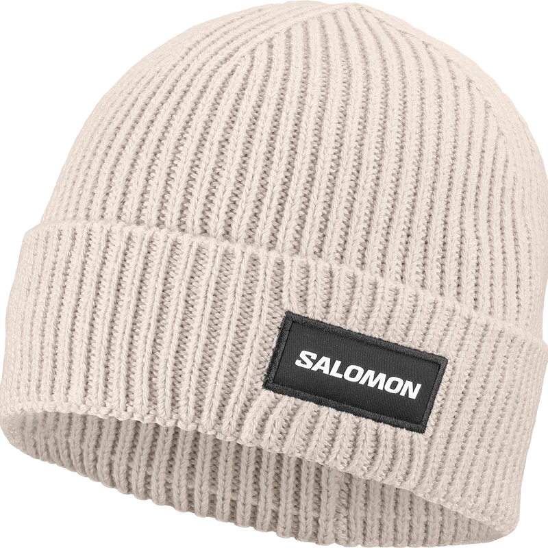 Zimná čiapka SALOMON CLASSIC BEANIE U SILVER CLOUD