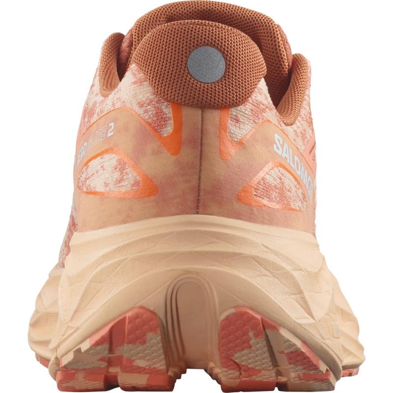 Dámska cestná bežecká obuv Salomon AERO GLIDE 2 W Spice Route / Peach Quartz / Fresh Salmo