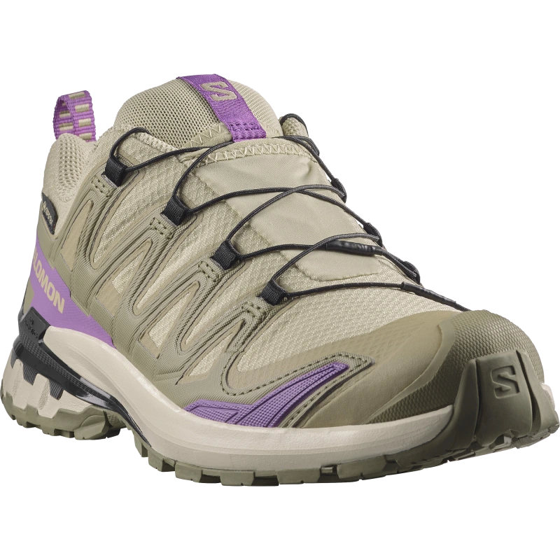 Dámska trailová obuv Salomon XA PRO 3D V9 STORM GTX W Bog / Aloe 1