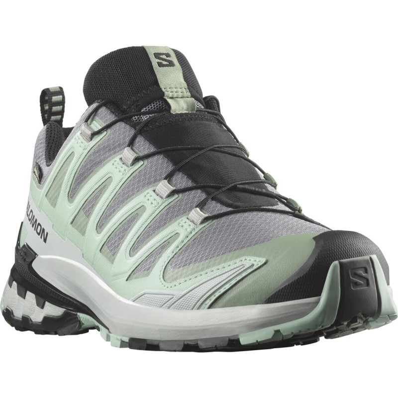 Dámska trailová obuv Salomon XA PRO 3D V9 GTX W QuSh/Lily/Bluhaz 1