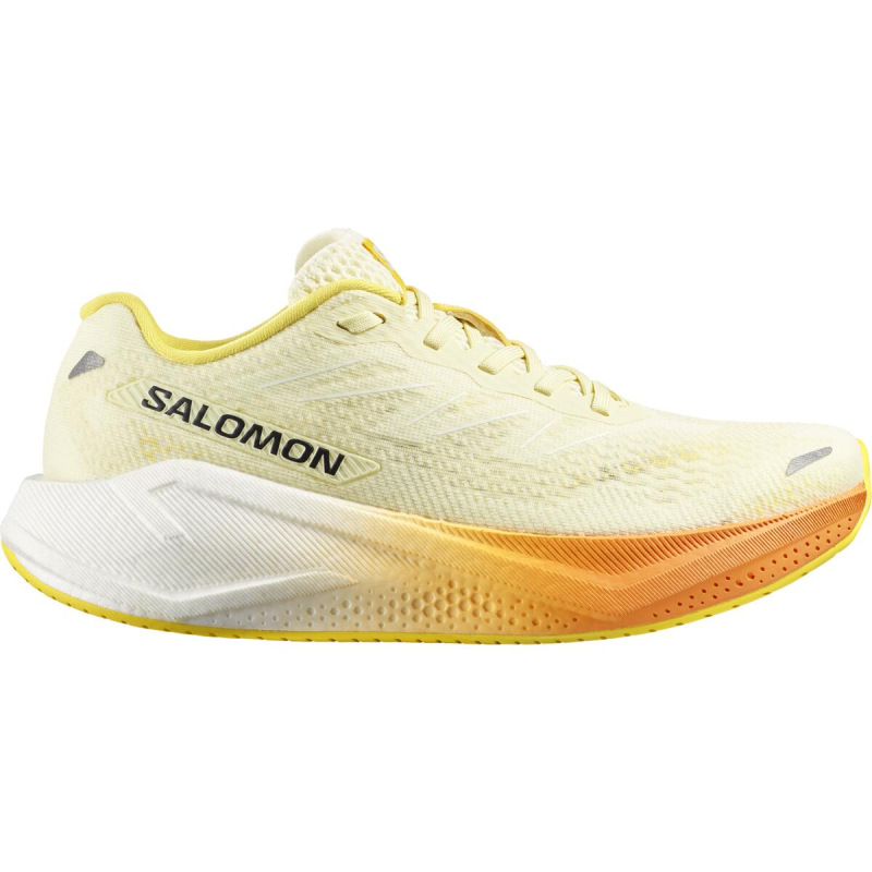Dámska cestná bežecká obuv Salomon AERO BLAZE 3 GRADIENT W Butterfly/White