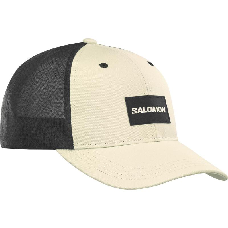 Letná šiltovka salomon TRUCKER CURVED CAP RAINY DAY/DEEP