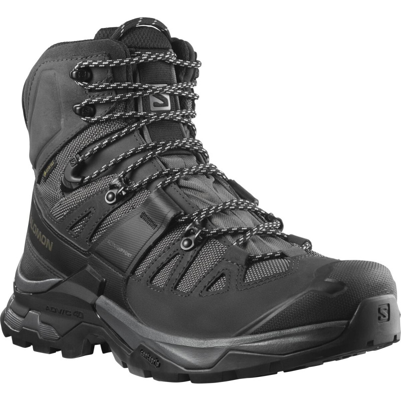 Pánska turistická obuv Salomon QUEST 4 GTX Magnet / Black / Quarry 10