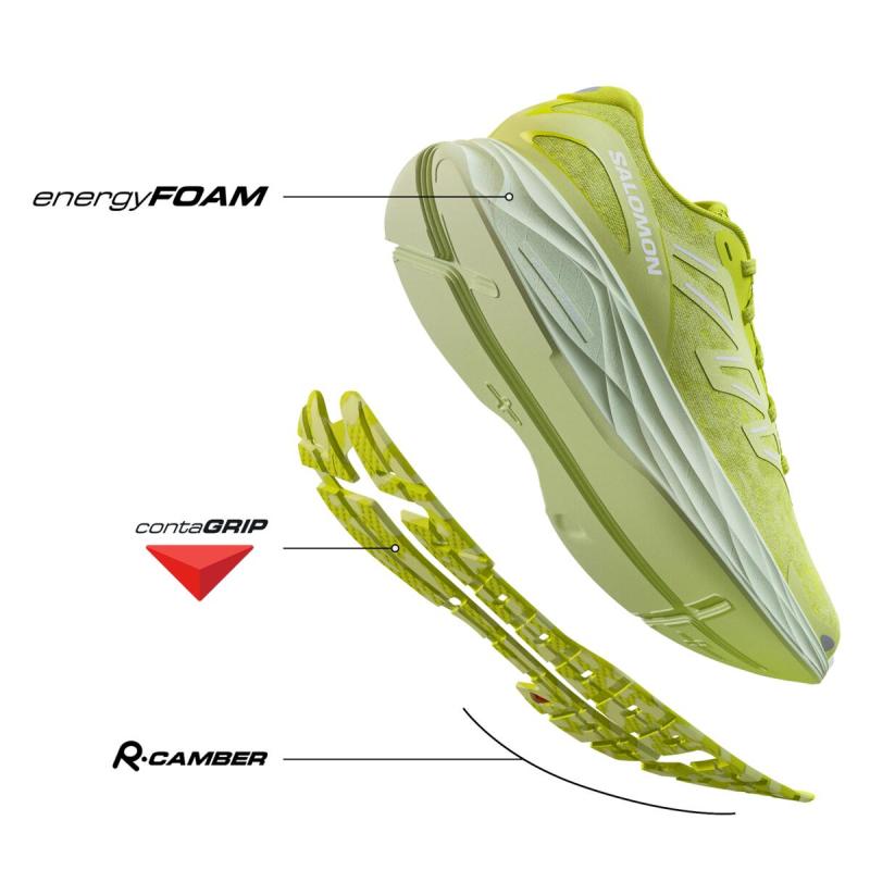 Dámska cestná bežecká obuv Salomon AERO GLIDE 2 W Spice Route / Peach Quartz / Fresh Salmo