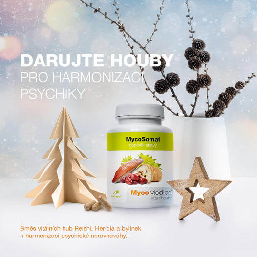 Darujte vitálne huby a podporte zdravie vašich blízkych - Mycomedica