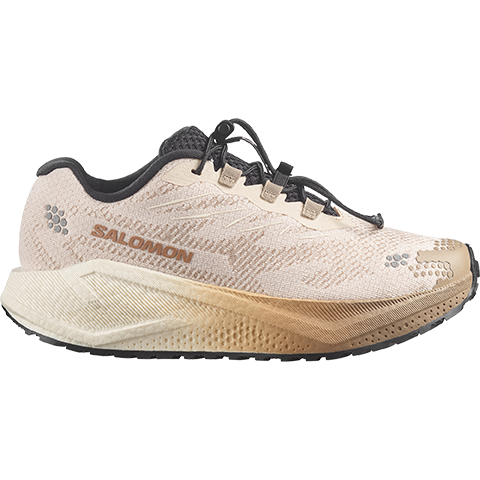 Dámske Salomon AERO BLAZE 4 GRVL