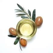 extrakt z olivovniku tradicna cinska medicina prirodna kozmetika caremedica