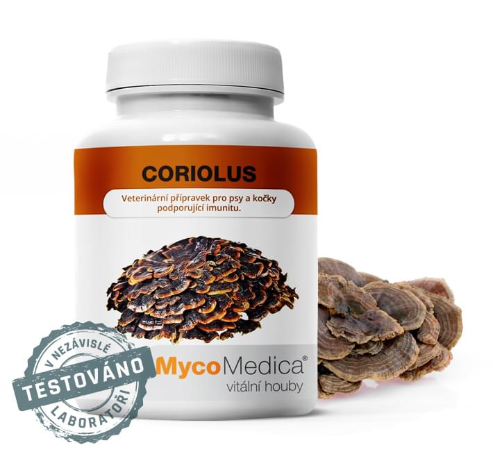 lieciva huba coriolus top kvalita testovane v labratoriu TCM mycomedica