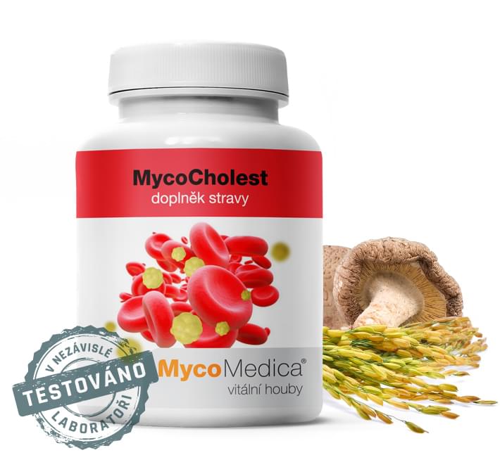 MycoCholest - Tip na vianočný darček - Tradičná čínska medicína - Darček pre mamu, ženu, priateľku, babičku - Ako znížiť cholesterol prírodnou cestou.