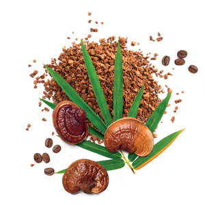 MycoLatte - Káva, ktorá dokáže viac. Instantná arabica s hubou reishi.