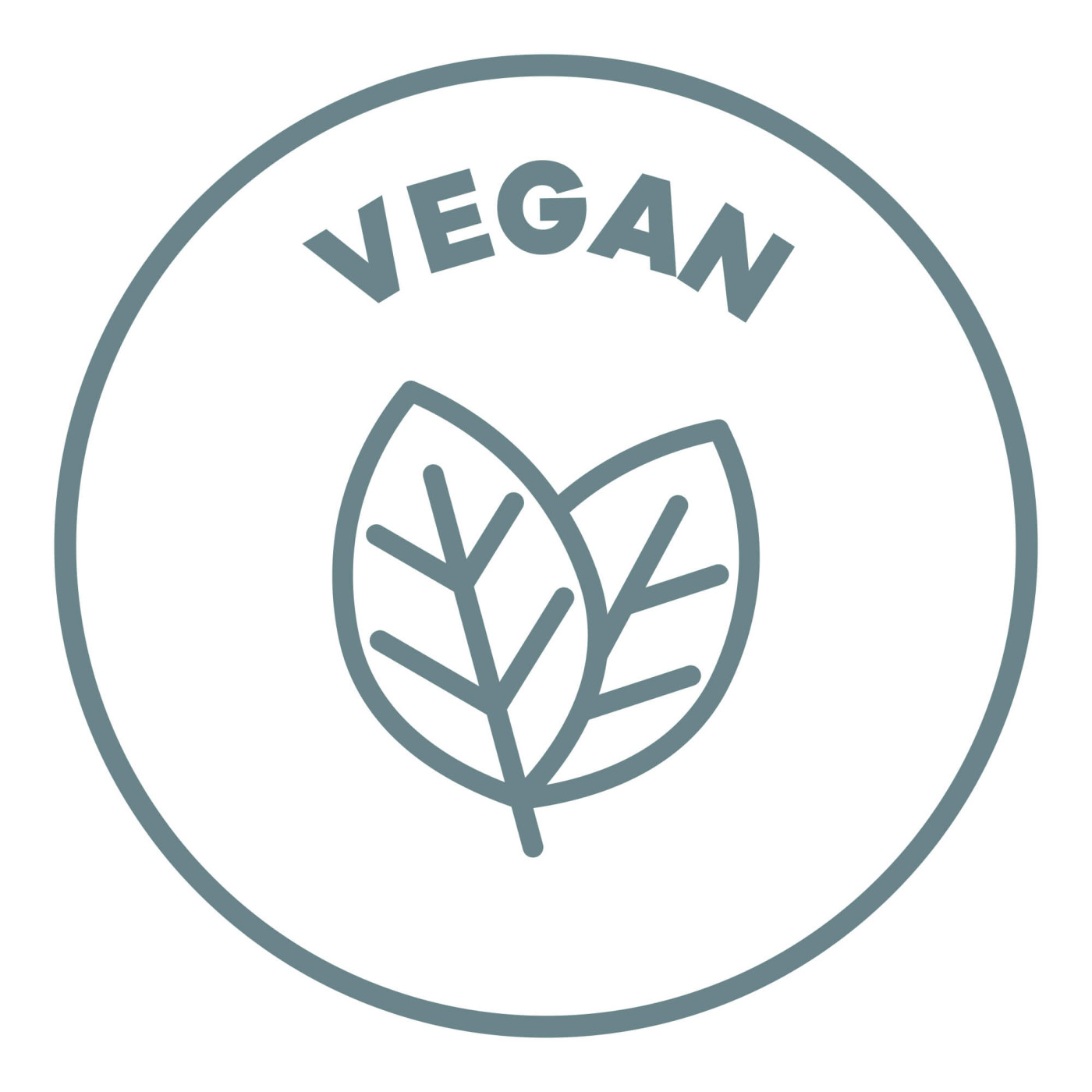 Vegánske MycoGummies - Zdravé občerstvenie pre celú rodinu  Prvé gumové medvedíky s vitálnymi hubami v Českej republike.