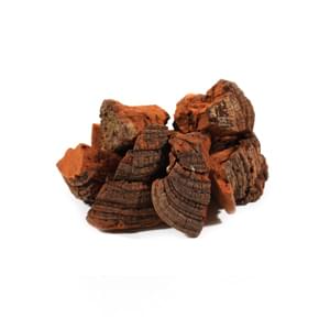 medicinalna vitalna huba ohnovec mycomedica - tradicna cinska medicina 