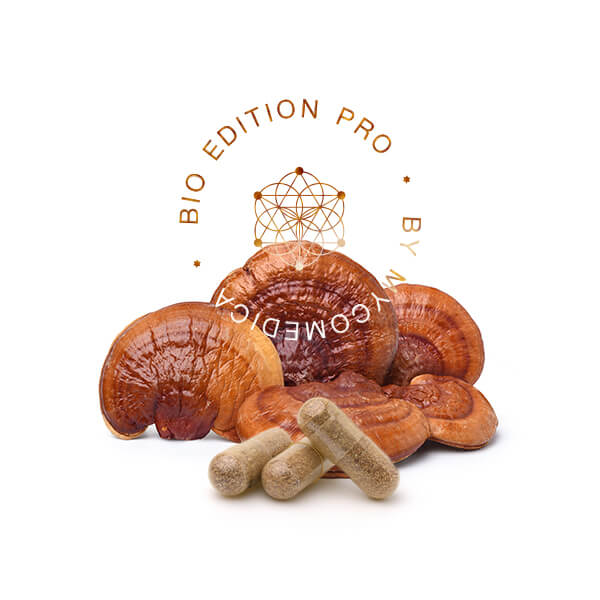 medicinalna vitalna huba reishi mycomedica - tradicna cnska medicina