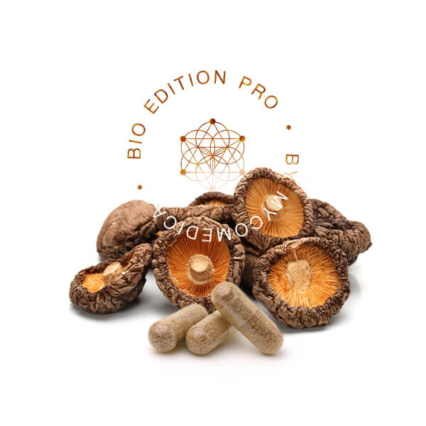 medicinalna vitalna shiitake maitake mycomedica - tradicna cnska medicina